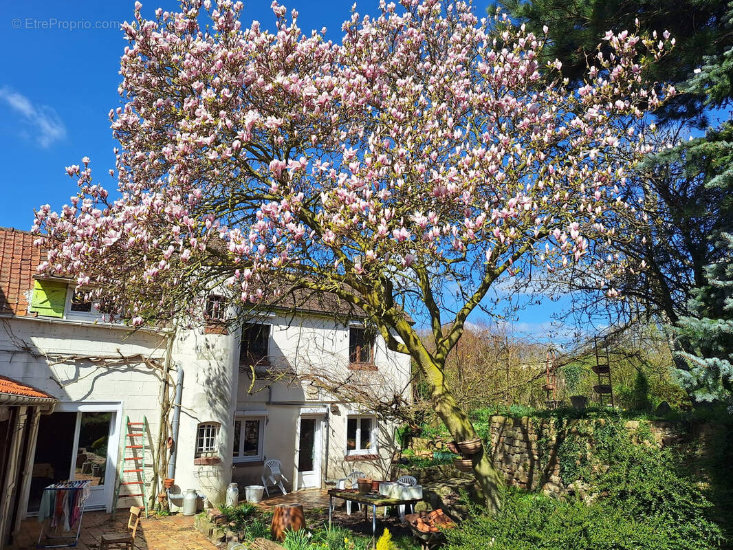 Maison à MAISNIL-LES-RUITZ