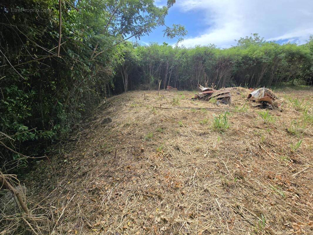 Terrain sur la route des plages - photo 4