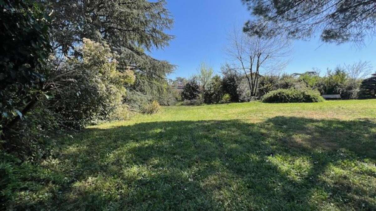 Photo 5 - Terrain à LA TOUR-DE-SALVAGNY