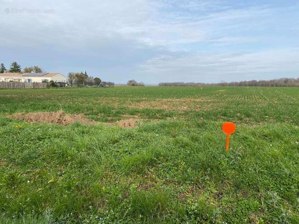 Terrain 753 m² à Plassay  - photo 3