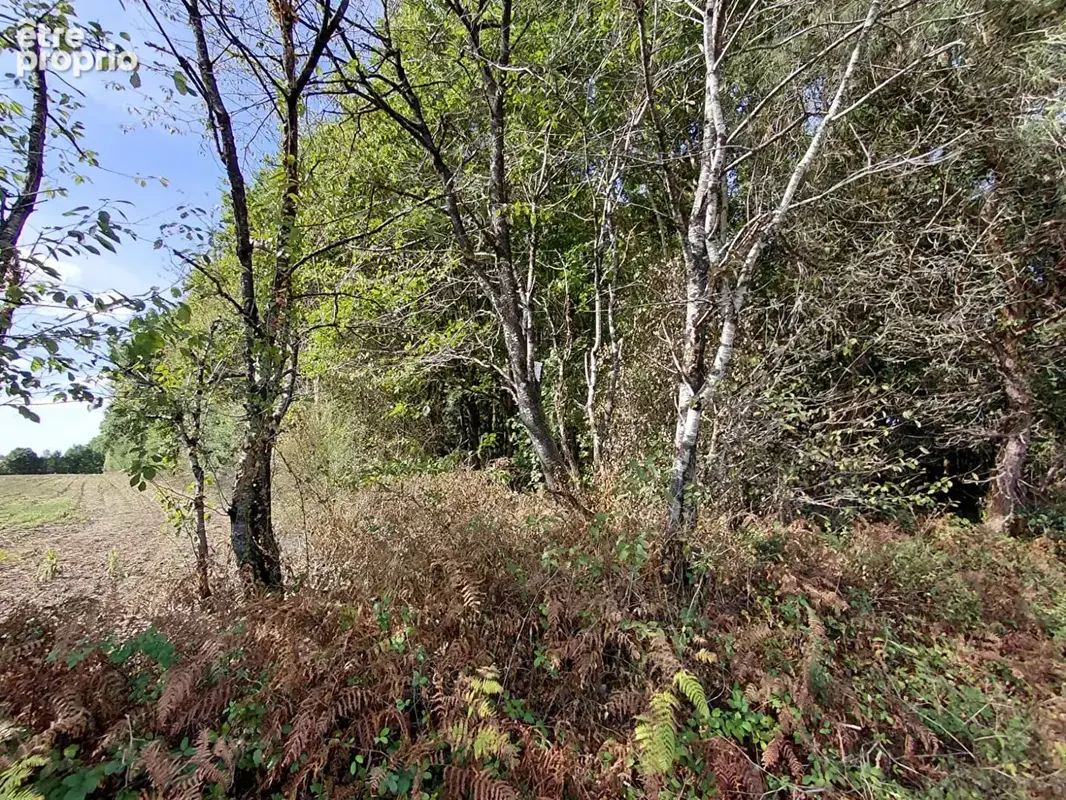 Terrain La Garnache non construcitlbe de 3555 m2 - photo 2