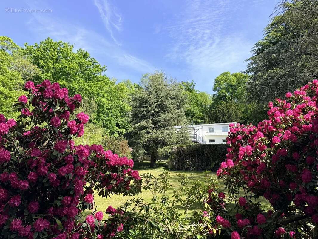 Maison familiale dans un cadre naturel d’exception - photo 13