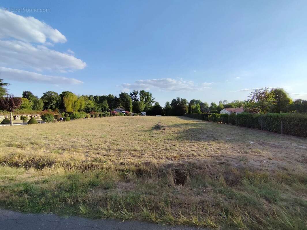 Terrain à SAINT-GEORGES-ANTIGNAC