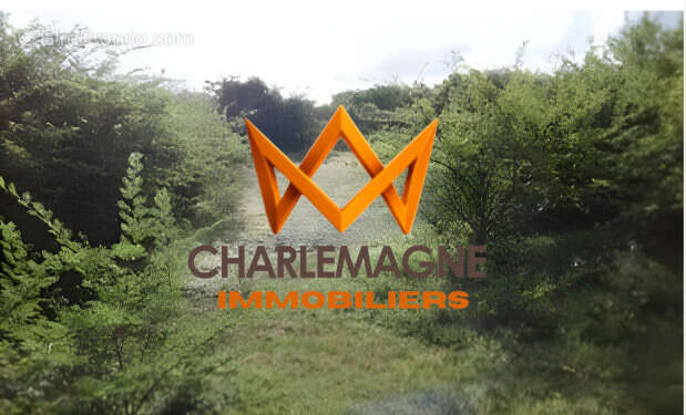 Terrain à SAINTE-ANNE