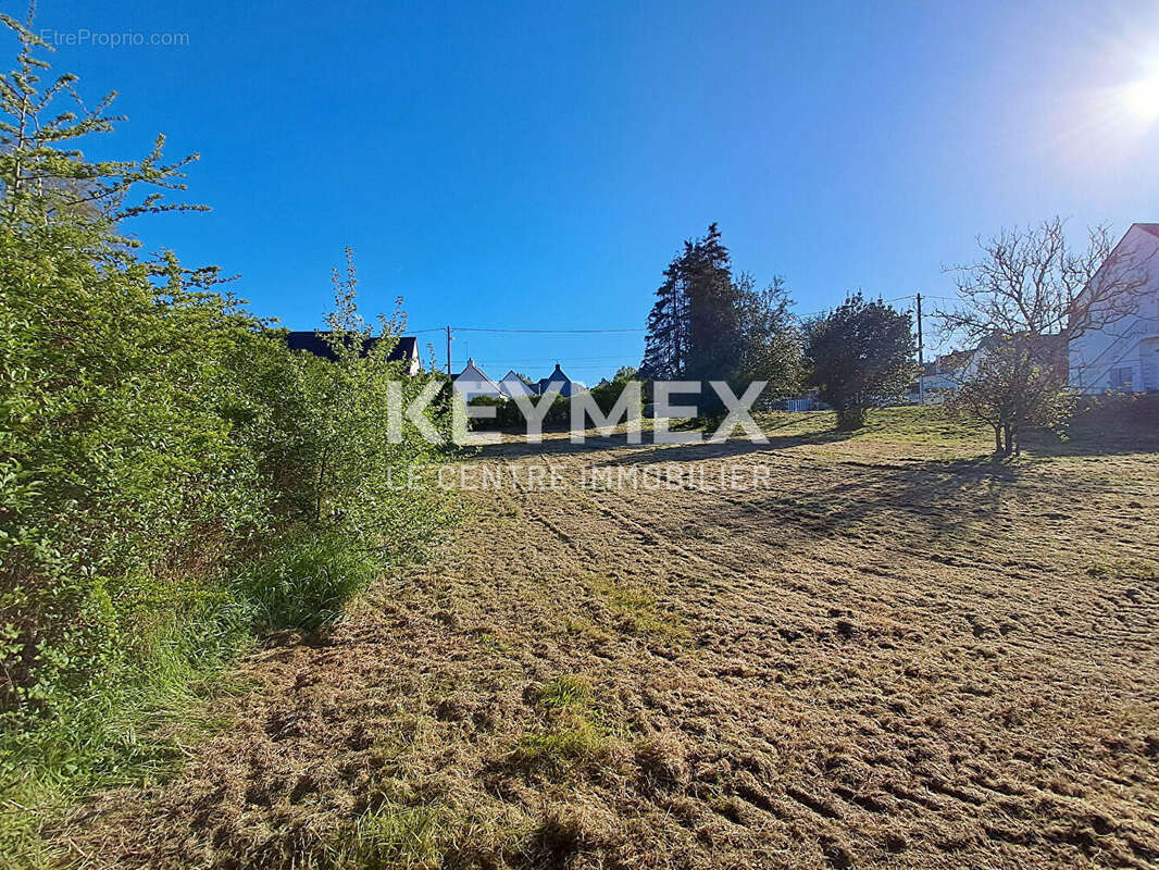 Terrain à LA TURBALLE