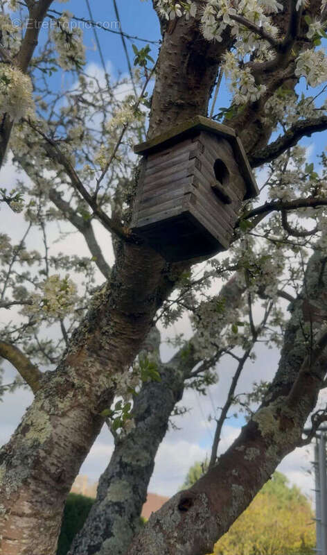 Maison à SAINTE-ADRESSE