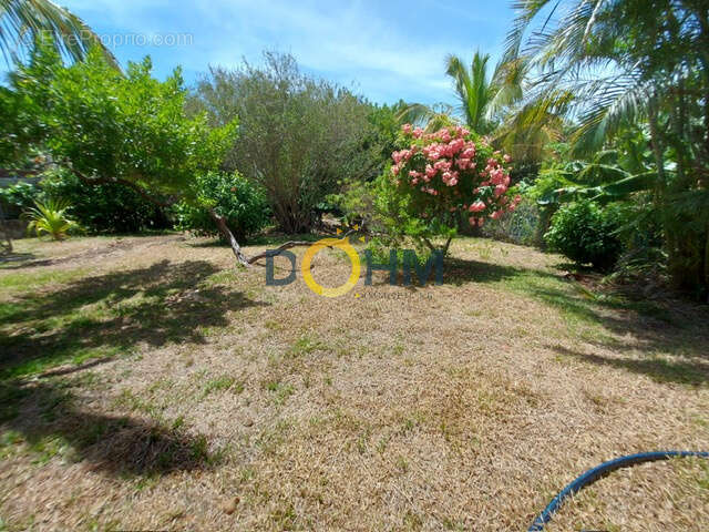 Maison à SAINT-JOSEPH