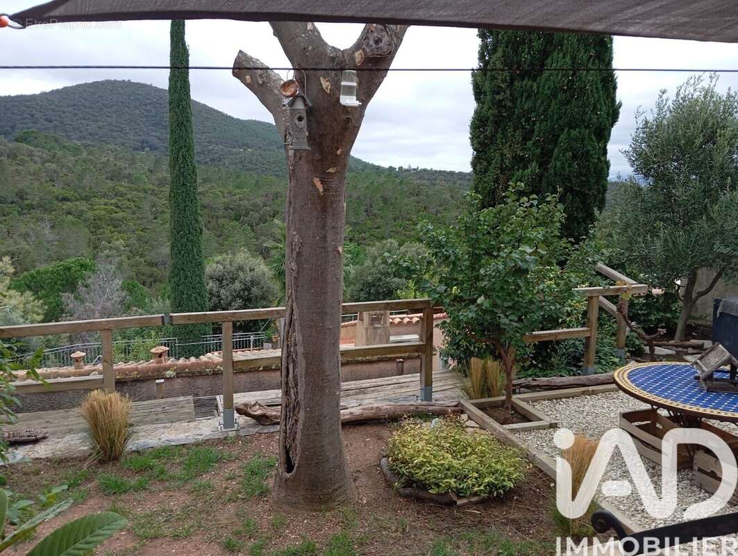 Photo 8 - Maison à LA LONDE-LES-MAURES