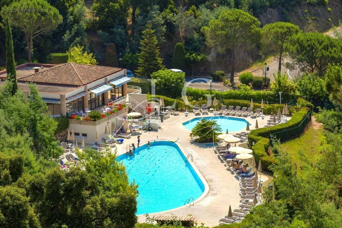 Vue degagee sur verdure et piscine - photo 8