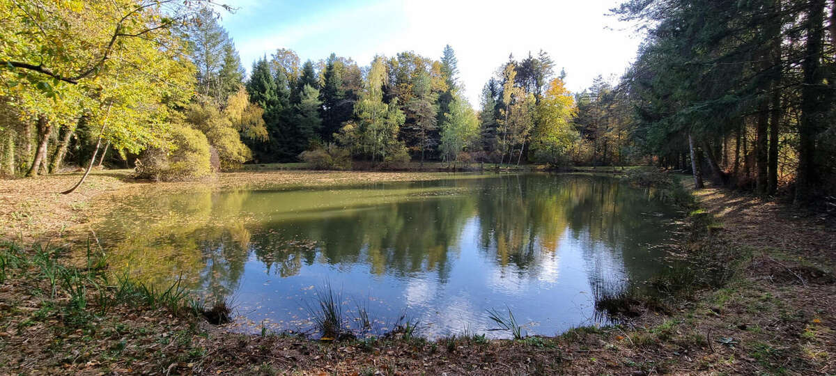 20251105_142216 - Terrain à PIEGUT-PLUVIERS