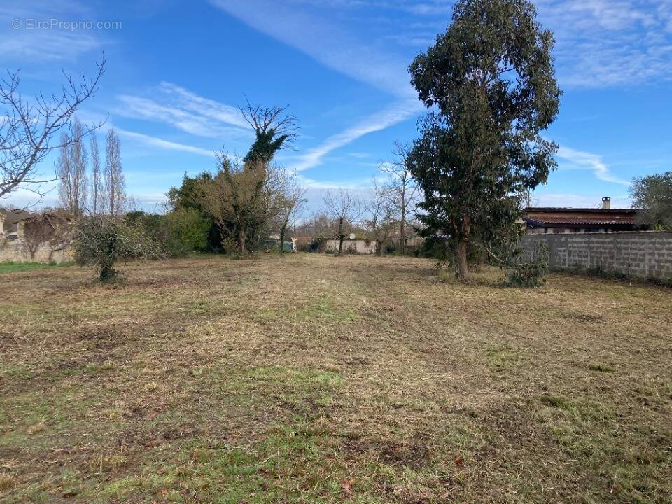 Terrain à SAINT-VIVIEN-DE-MEDOC