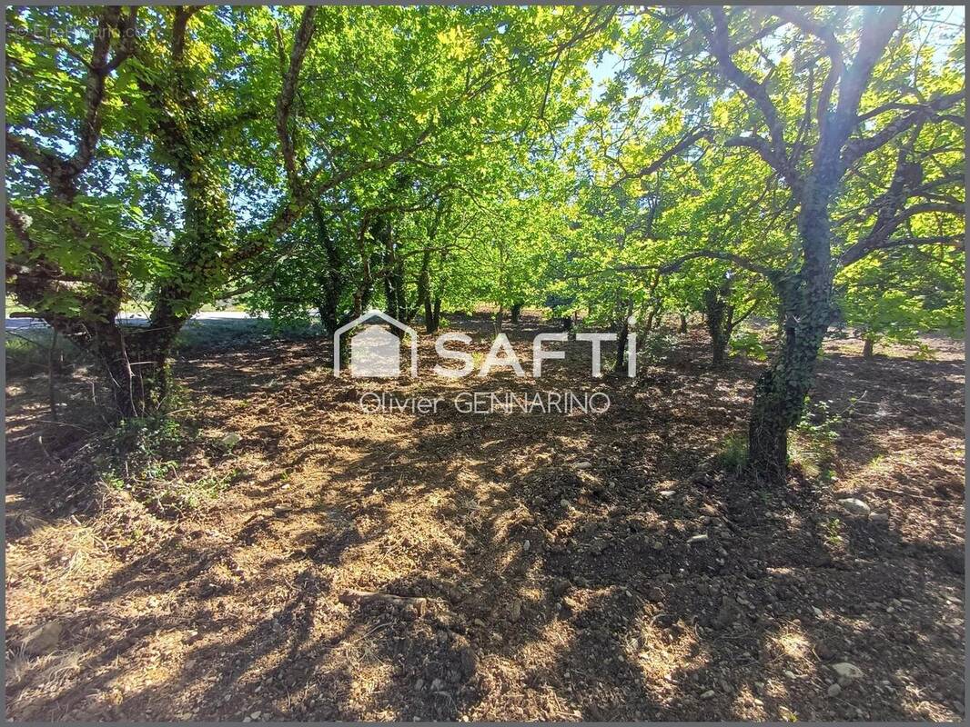 Photo 1 - Terrain à ENTRECHAUX