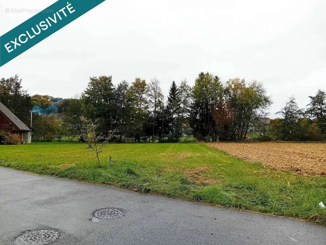 Terrain 1183 m² à Traubach-Le-Haut  - photo 3