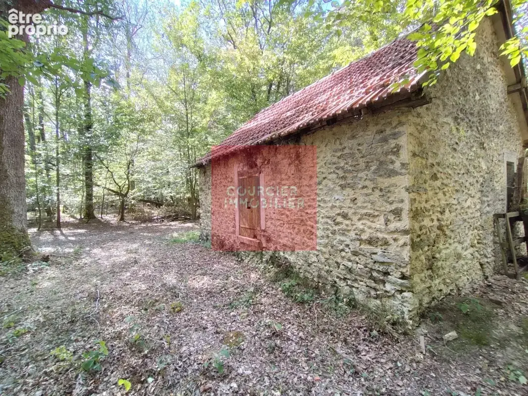 Montfort l'amaury (78) - a vendre domaine de 12 hectares - photo 4