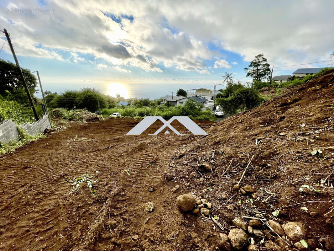 Terrain à SAINT-LEU