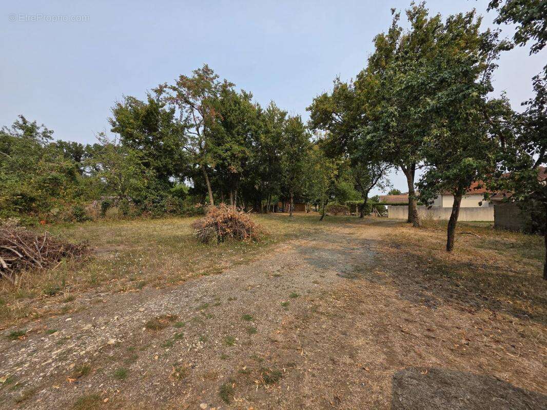 Terrain à LES BORDES