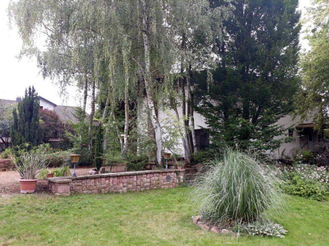 Maison 250 m² à Andolsheim  - photo 15