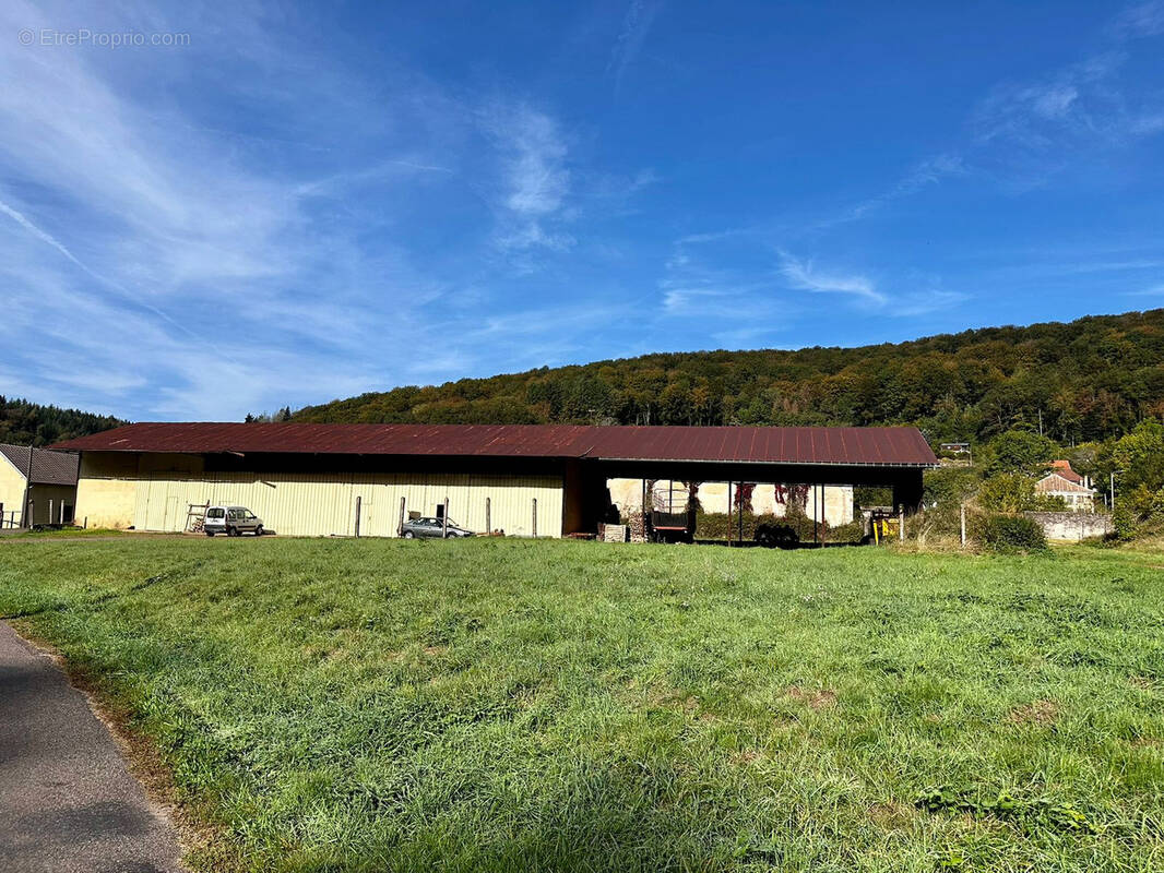 Commerce à SAINT-BRESSON