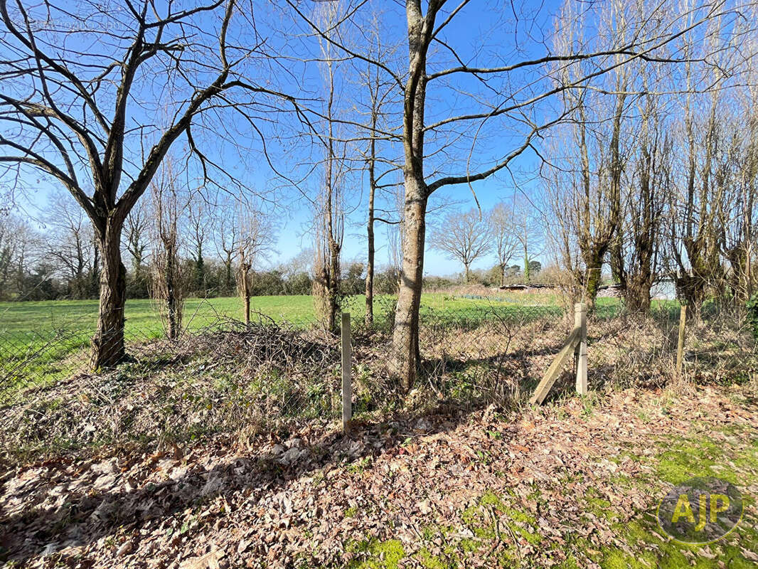 Maison à SUCE-SUR-ERDRE