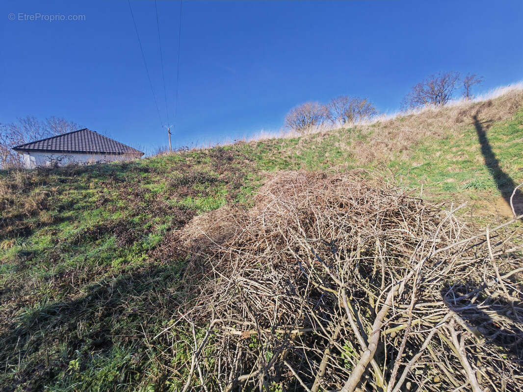 Photo 4 - Terrain à LESPESSES