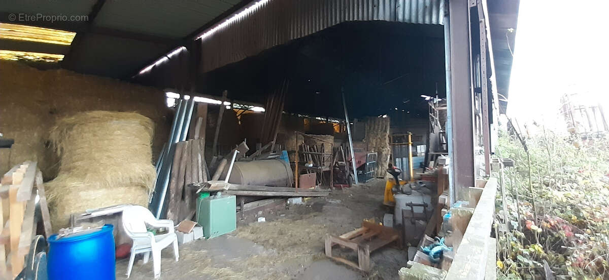 Terrain à BAUZEMONT