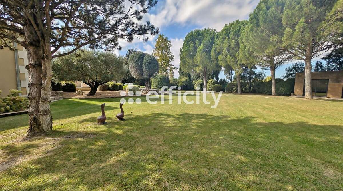 Maison à SAINT-REMY-DE-PROVENCE