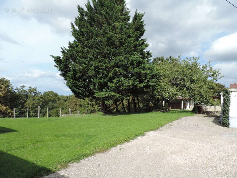 Dpt Ain (01), à vendre MONTAGNAT, propriété à rénover avec maison de 84 m² et dépendance de 170 m² - Terrain de 2 300 m² - photo 3