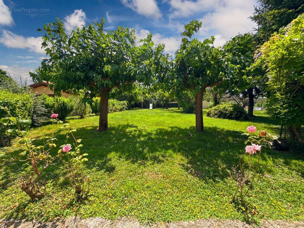 Maison à SEGOUFIELLE