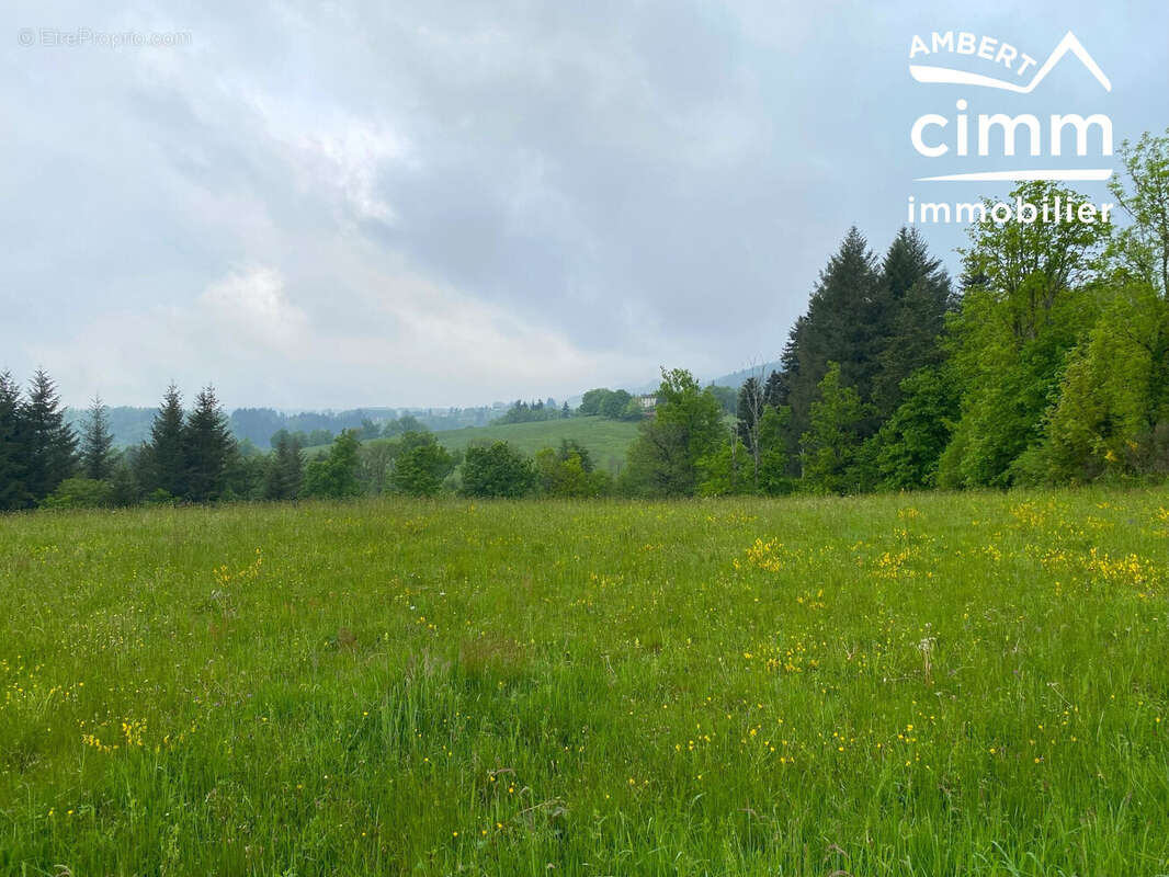 Terrain à VERTOLAYE