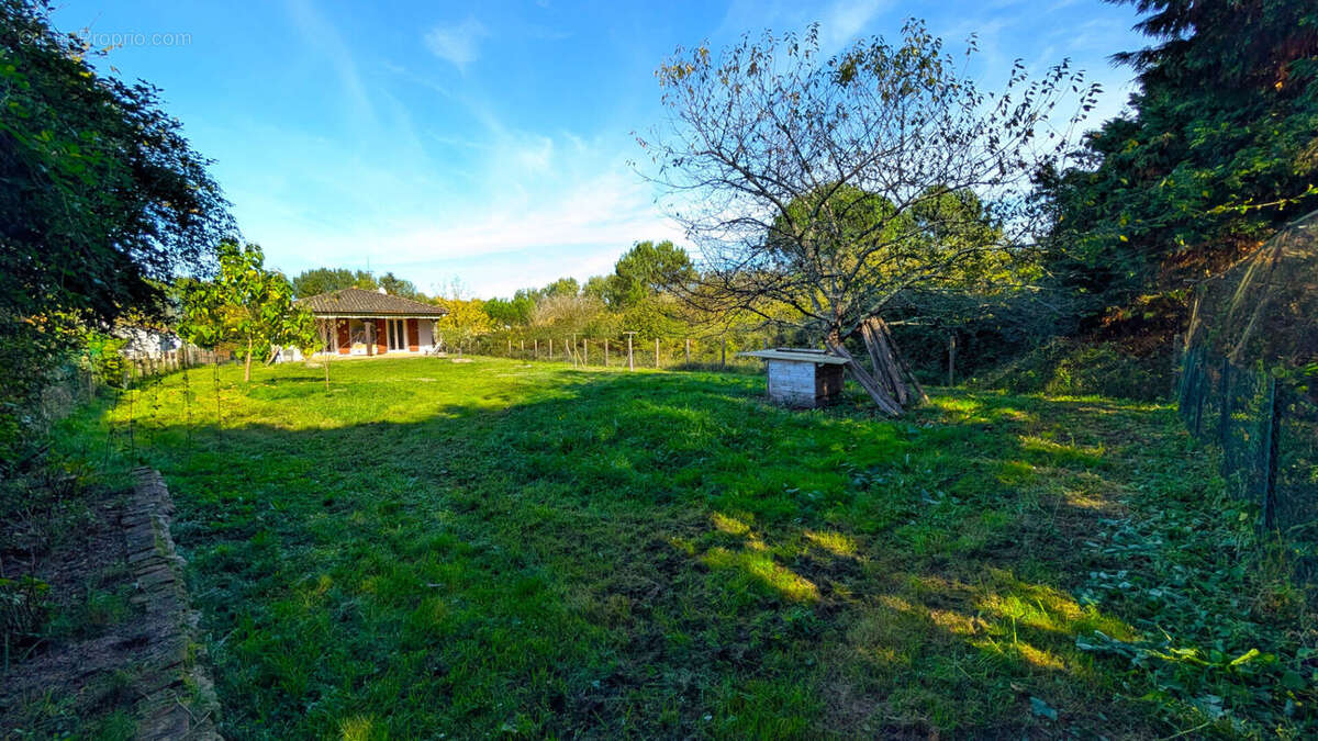 Maison à VILLENEUVE-DE-MARSAN