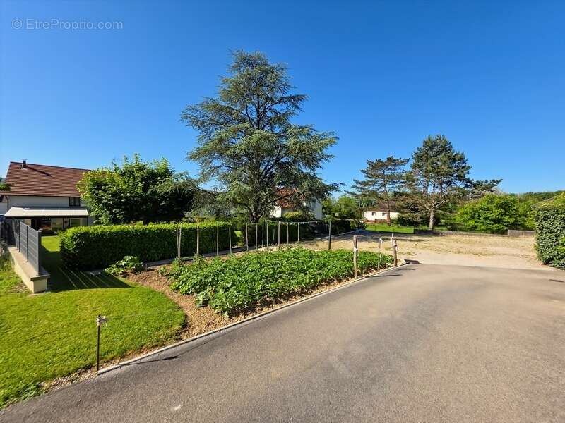 Maison à vendre 5 pièces COURLANS (39) - photo 13