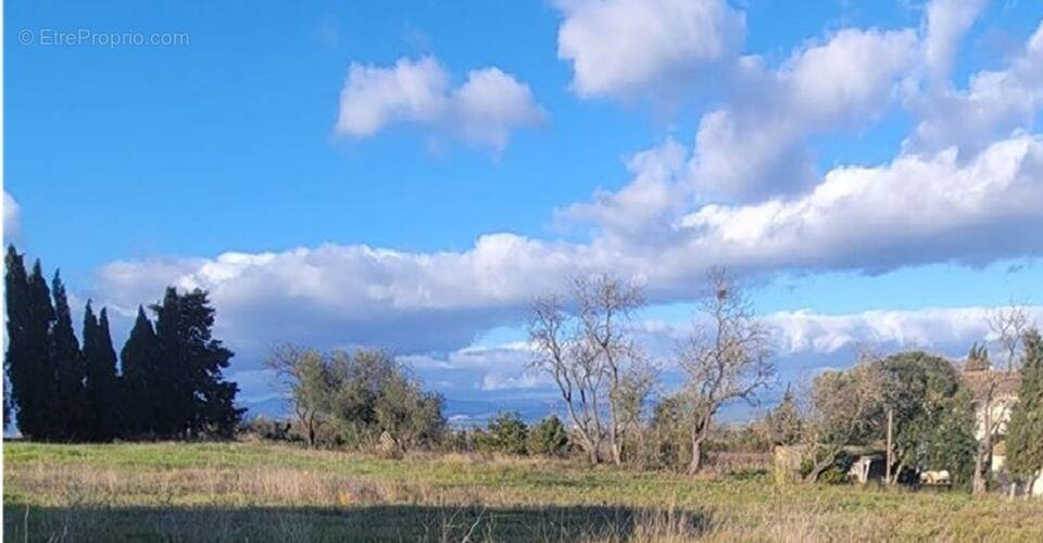 Terrain à CASTELNAU-D&#039;AUDE