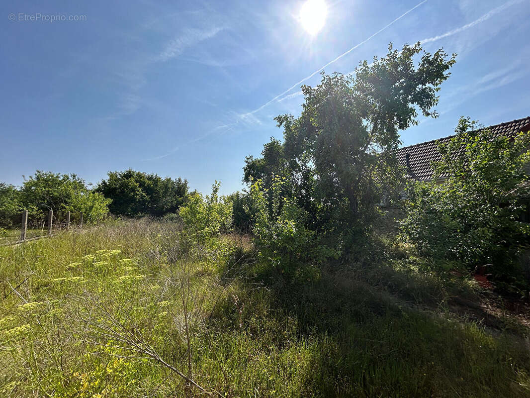 Terrain à SANCHEVILLE