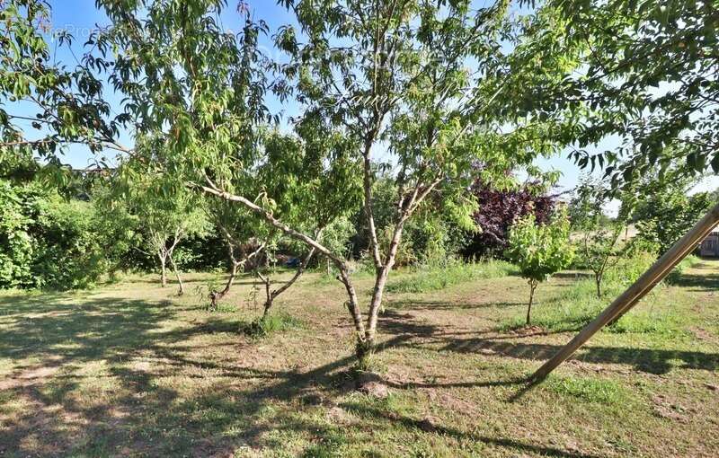 Maison à SAINT-THOMAS-DE-CONAC