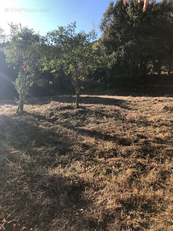 Terrain à OCCHIATANA