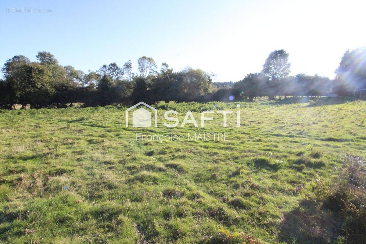 Photo 1 - Terrain à CASTRES