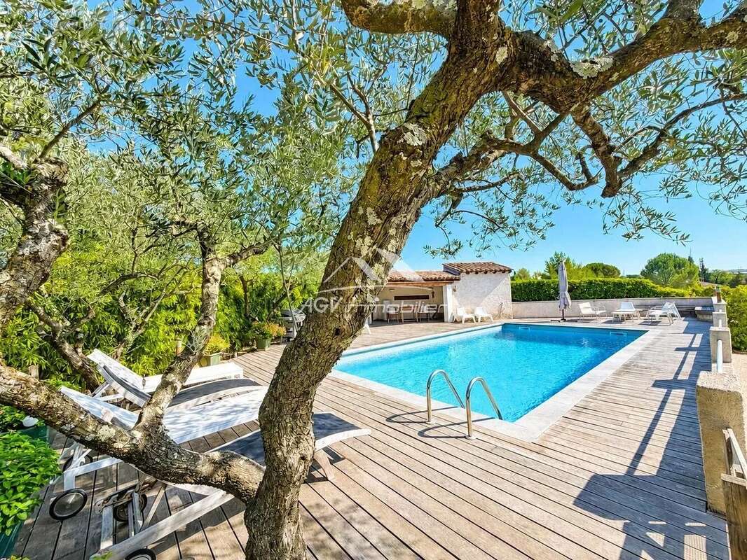 Maison d 'architecte de 200 m² habitable - piscine - 2540m² de terrain - 2 logements - photo 18