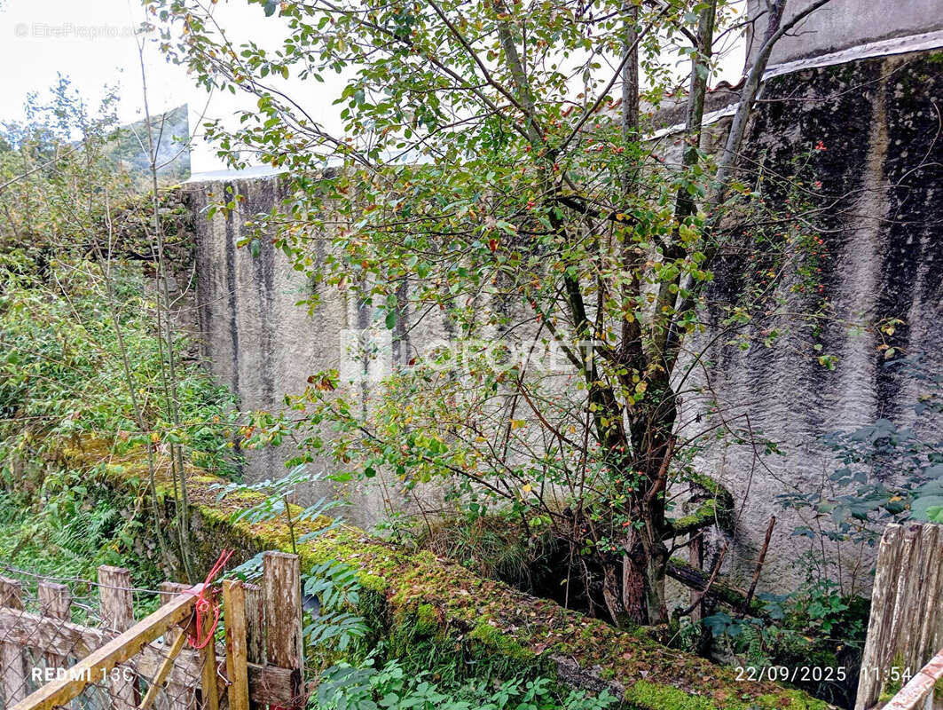 Terrain à PRATS-DE-MOLLO-LA-PRESTE