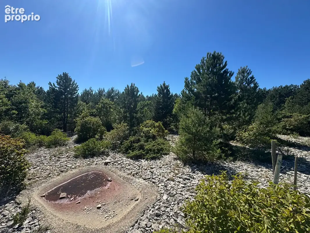 Terrain Sault 20196 m2 - photo 2