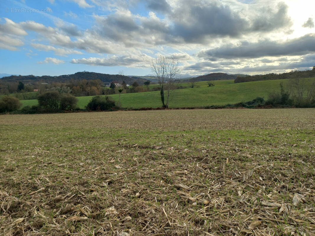 Terrain à AROUE-ITHOROTS-OLHAIBY