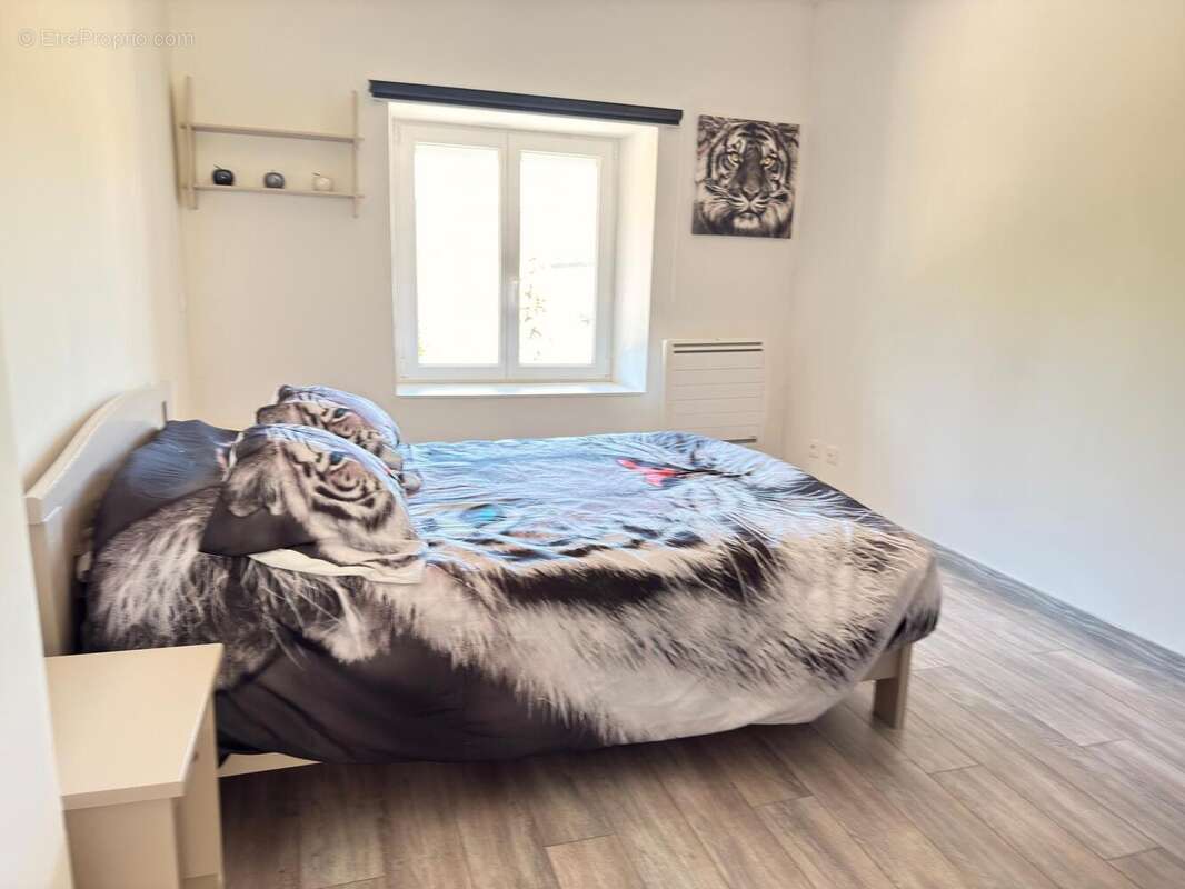 Photo 7 - Maison à RIOZ