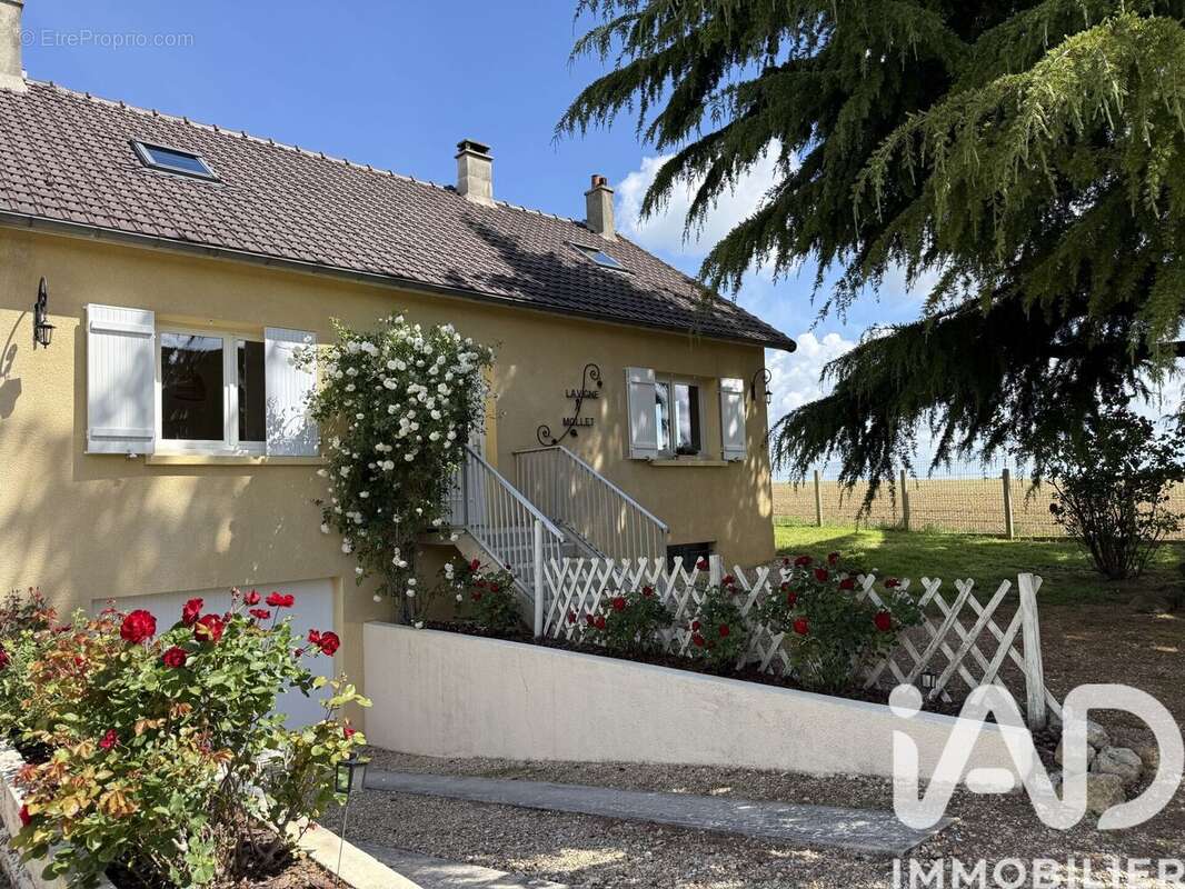 Photo 2 - Maison à CHATENAY-SUR-SEINE
