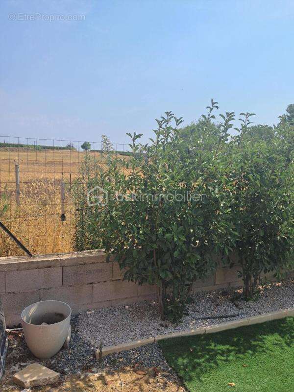 Villa neuve de plain pied avec 3 chambres située dans une impasse sur un terrain clôturé et arboré - photo 20