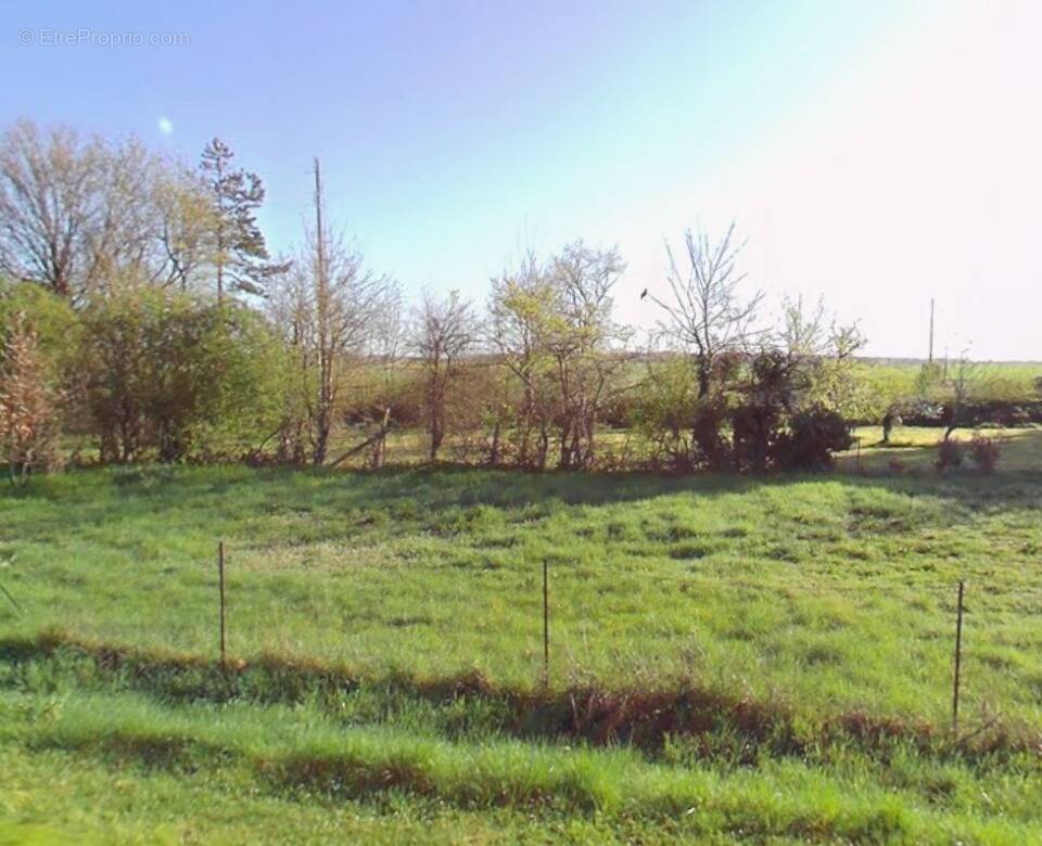 Terrain à BAUGY