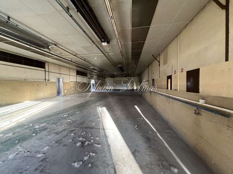 Commerce à NAZELLES-NEGRON