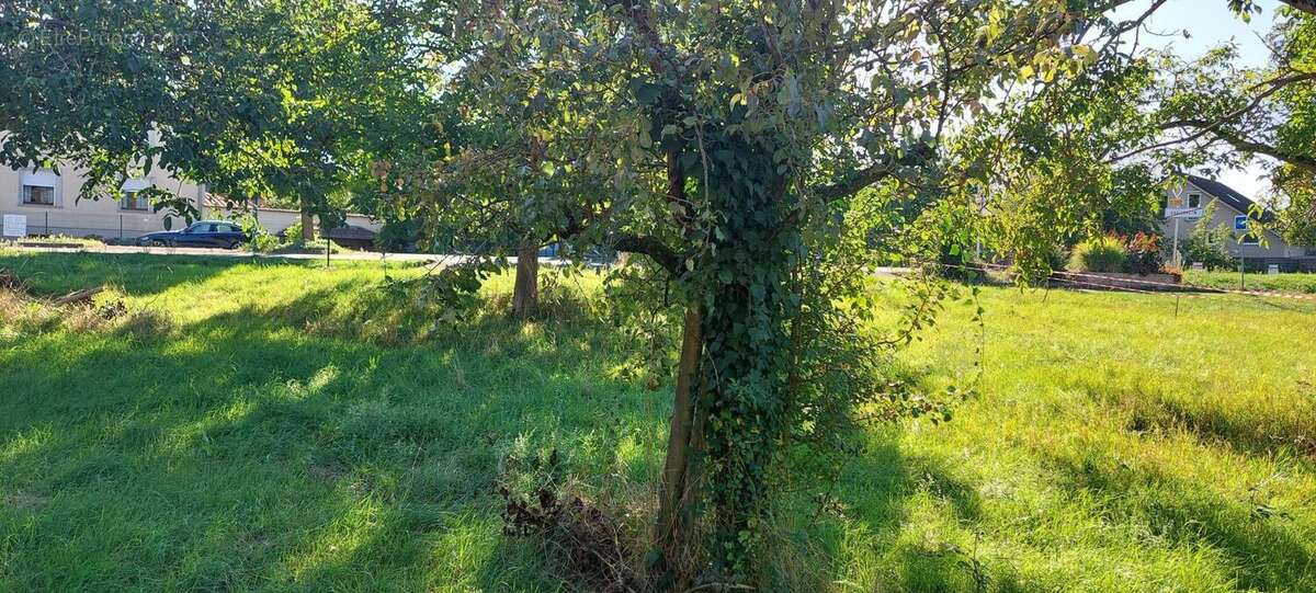 Photo 4 - Terrain à DORLISHEIM