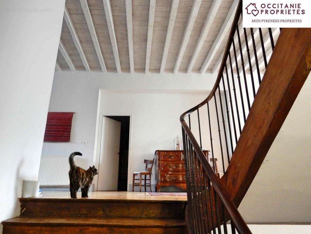 Maison à VILLEFRANCHE-DE-LAURAGAIS