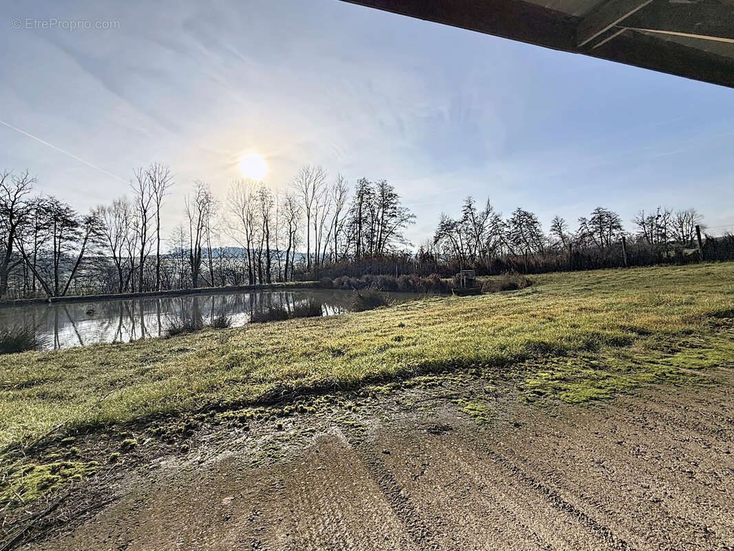 Terrain à MIRECOURT