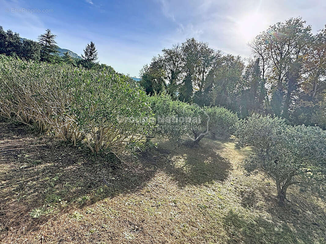 Maison à CHEVAL-BLANC