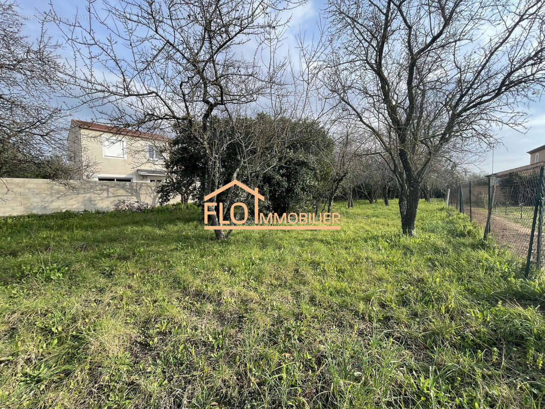 Terrain à POMEROLS